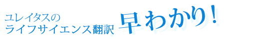 中國(guó)の翻訳會(huì)社